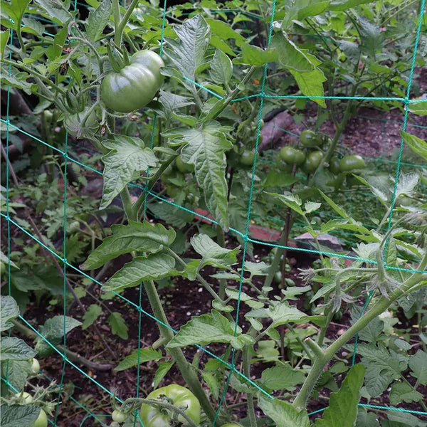 Garden Cell Plant Climbing Net