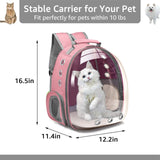 Cat Breathable Transparent Travel Bag