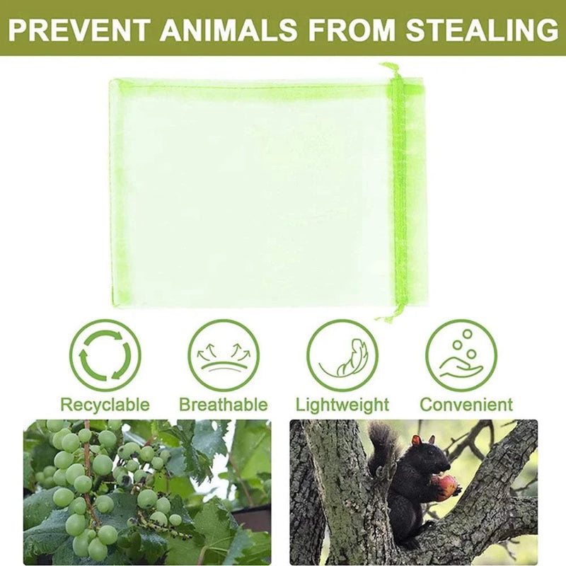 Grapes Fruit Anti-Bird Netting Bag