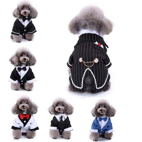 Cute Dog Tailcoat Suit