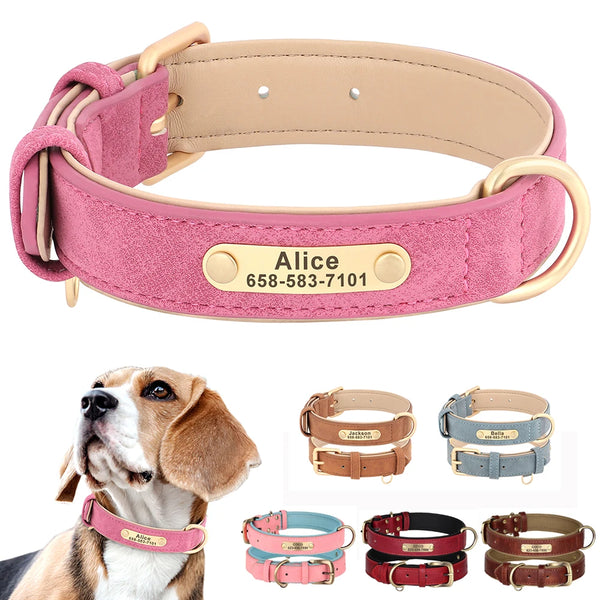 Dog Nameplate Leather Collar