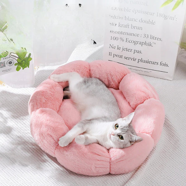 Dog Unique Flower-Shaped Bed